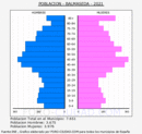 Balmaseda - Pirámide de población grupos quinquenales - Censo 2021