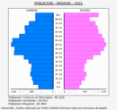 Basauri - Pirámide de población grupos quinquenales - Censo 2021