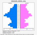 Berriz - Pirámide de población grupos quinquenales - Censo 2021
