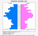 Mallabia - Pirámide de población grupos quinquenales - Censo 2021