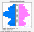 Zaldibar - Pirámide de población grupos quinquenales - Censo 2021