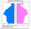 Guadalajara - Pirámide de población grupos quinquenales - Censo 2021