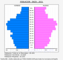 Baza - Pirámide de población grupos quinquenales - Censo 2021