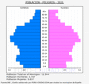 Peligros - Pirámide de población grupos quinquenales - Censo 2021