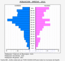 Amieva - Pirámide de población grupos quinquenales - Censo 2021