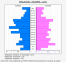 Palomas - Pirámide de población grupos quinquenales - Censo 2021
