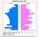 Rena - Pirámide de población grupos quinquenales - Censo 2021