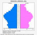 Manacor - Pirámide de población grupos quinquenales - Censo 2021