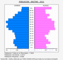 Baztan - Pirámide de población grupos quinquenales - Censo 2021