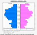 Arnuero - Pirámide de población grupos quinquenales - Censo 2021