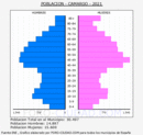 Camargo - Pirámide de población grupos quinquenales - Censo 2021