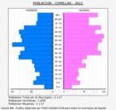 Comillas - Pirámide de población grupos quinquenales - Censo 2021