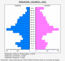 Polanco - Pirámide de población grupos quinquenales - Censo 2021
