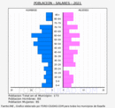 Salares - Pirámide de población grupos quinquenales - Censo 2021