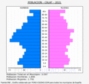 Calaf - Pirámide de población grupos quinquenales - Censo 2021