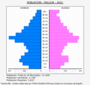 Pallejà - Pirámide de población grupos quinquenales - Censo 2021
