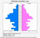 Rellinars - Pirámide de población grupos quinquenales - Censo 2021