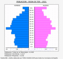 Roda de Ter - Pirámide de población grupos quinquenales - Censo 2021