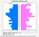 Verges - Pirámide de población grupos quinquenales - Censo 2022