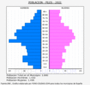 Piles - Pirámide de población grupos quinquenales - Censo 2022