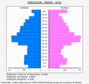 Brión - Pirámide de población grupos quinquenales - Censo 2022