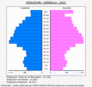 Carballo - Pirámide de población grupos quinquenales - Censo 2022