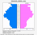 Rianxo - Pirámide de población grupos quinquenales - Censo 2022