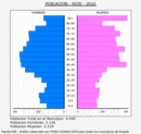 Rois - Pirámide de población grupos quinquenales - Censo 2022
