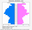 Balmaseda - Pirámide de población grupos quinquenales - Censo 2022