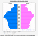 Tomelloso - Pirámide de población grupos quinquenales - Censo 2022