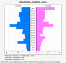 Albares - Pirámide de población grupos quinquenales - Censo 2022