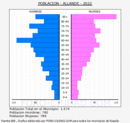 Allande - Pirámide de población grupos quinquenales - Censo 2022