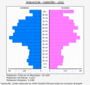 Carreño - Pirámide de población grupos quinquenales - Censo 2022
