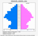 Casares - Pirámide de población grupos quinquenales - Censo 2022
