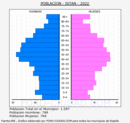 Istán - Pirámide de población grupos quinquenales - Censo 2022
