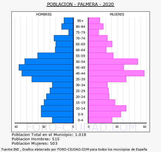 Palmera - Pirámide de población grupos quinquenales - Censo 2020