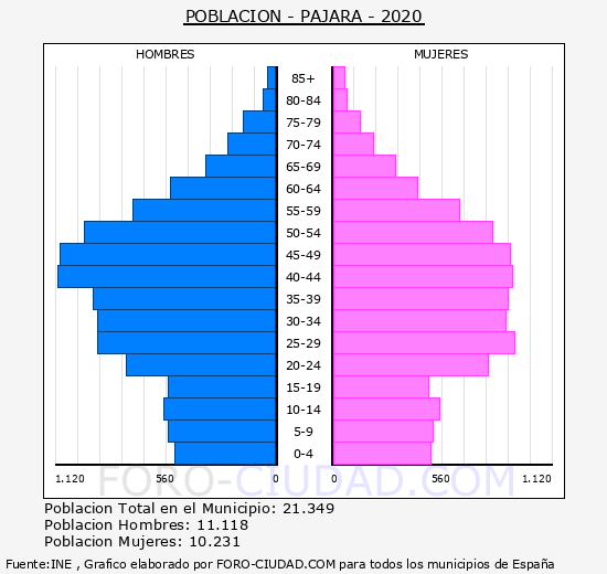 Pájara - Pirámide de población grupos quinquenales - Censo 2020