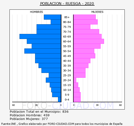 Ruesga - Pirámide de población grupos quinquenales - Censo 2020