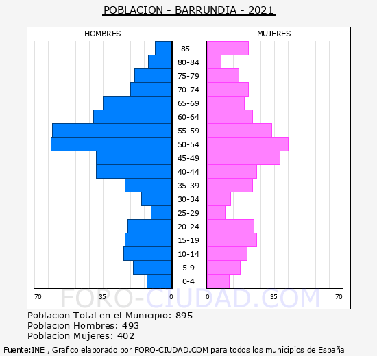 Barrundia - Pirámide de población grupos quinquenales - Censo 2021